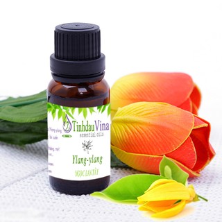 Tinh dầu ngọc lan tây - ylang ylang 10ml