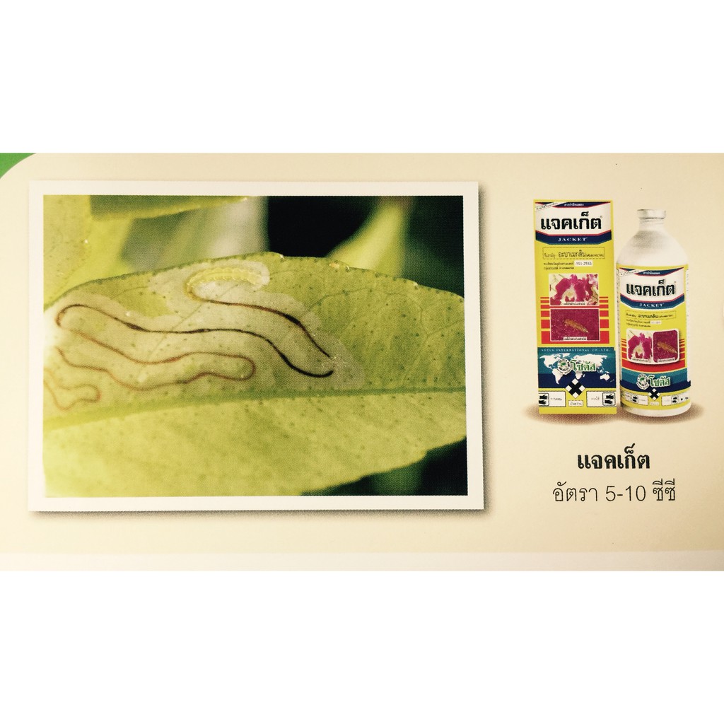 Abamectin Thailand Thuốc Đặc Tr.ị Bọ Trĩ lọ 100ml