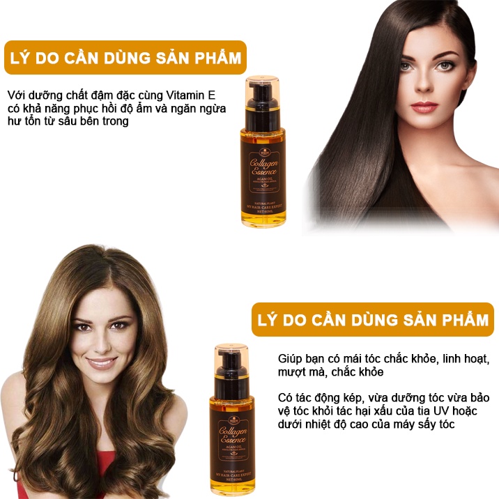 Tinh Dầu Dưỡng Tóc YODY COLLAGEN ESSENCE 60ML - Phục Hồi Và Kích Mọc Tóc Lamyra