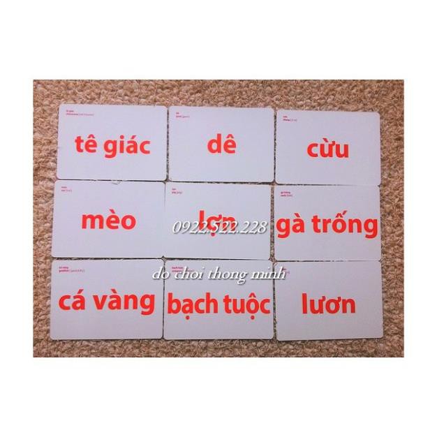 [Thanh lý nghỉ bán] 136 thẻ to FLASH CARD chống lóa Thế giới xung quanh 16 chủ đề - 136 thẻ  song ngữ