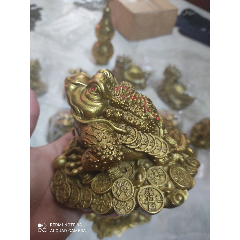 Combo cặp cóc thềm thừ 13CM  + long quy bát quái 12CM  bằng đồng vàng nguyên chất