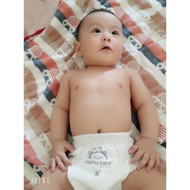 Bỉm Quần MAMABEAR MAMA BEAR xuất Mỹ combo 100M/100L/100XL/100XXL/100XXXL