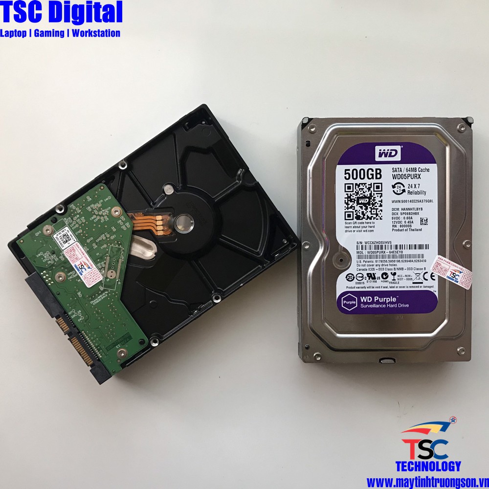 Ổ Cứng HDD 500Gb Western Purple (Tím) - Bảo hành 24 Tháng