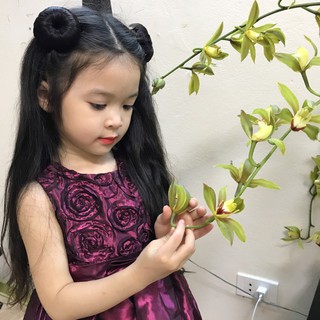 TÓC GIẢ BÚI CỦ TỎI, BÚI NATRA CHO BÉ (HÌNH THẬT)
