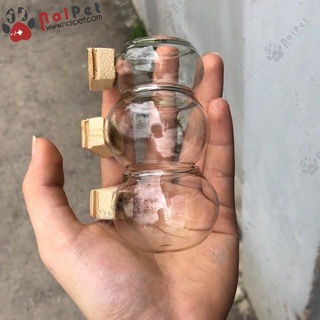 Bộ Cóng Ăn Thủy Tinh Tai Tre Cho Chim Chào Mào Chim Chòe Chim Mi CCC001