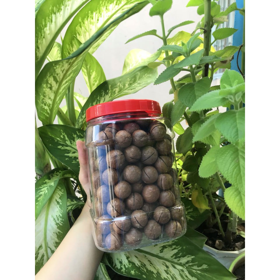 Hạt macca úc chính hãng - giá sỉ - 250g / 500g