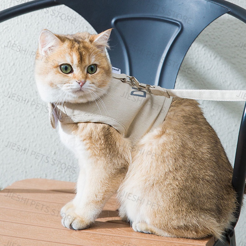 Bộ dây xích thoáng khí cho thú cưng mùa hè, dây xích dắt chó đi dạo, dây xích cho mèo