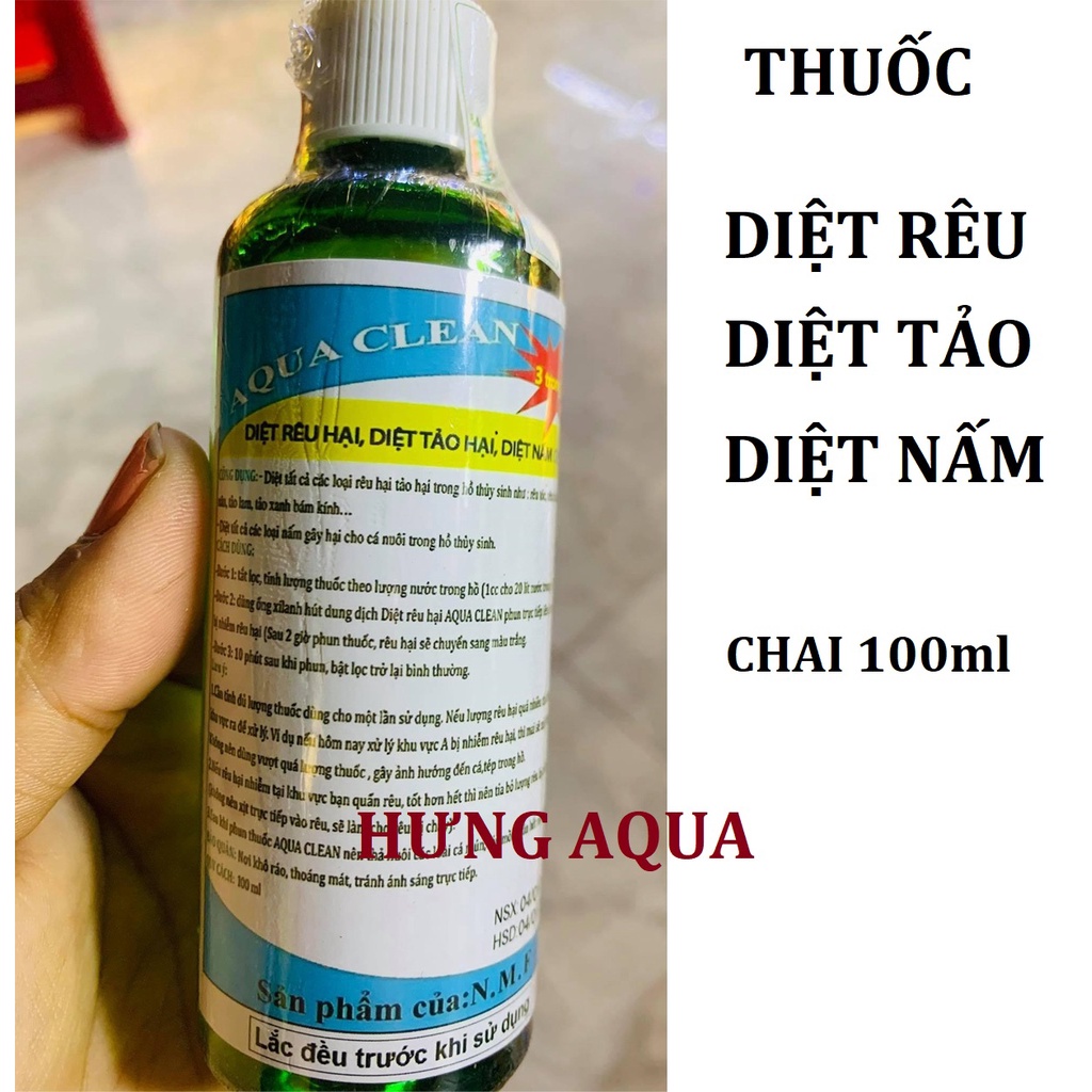 Diệt rêu bể cá, diệt rêu tóc, rêu hại cho hồ cá, hồ thủy sinh