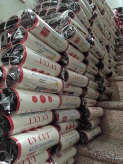 Quần legging