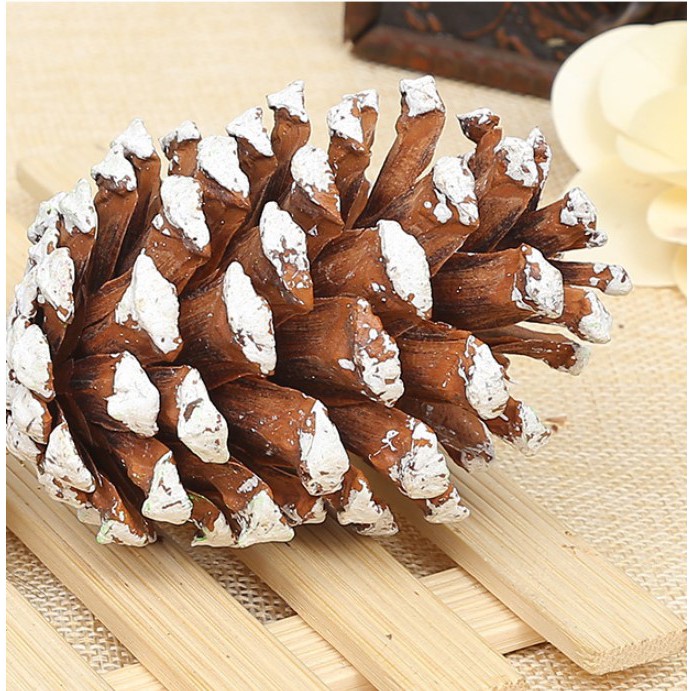 Trái Thông Trang trí 10cm