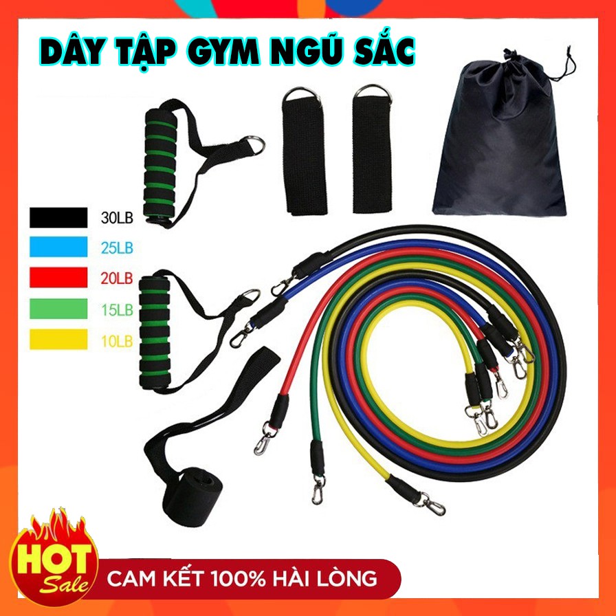 Dây Kéo Đàn Hồi Tập Thể Dục Cao Cấp ❤️ FREE SHIP ❤️ Dây Ngũ Sắc Tập Gym Chính Hãng