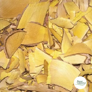 Cây mật gấu [1KG] - FG008