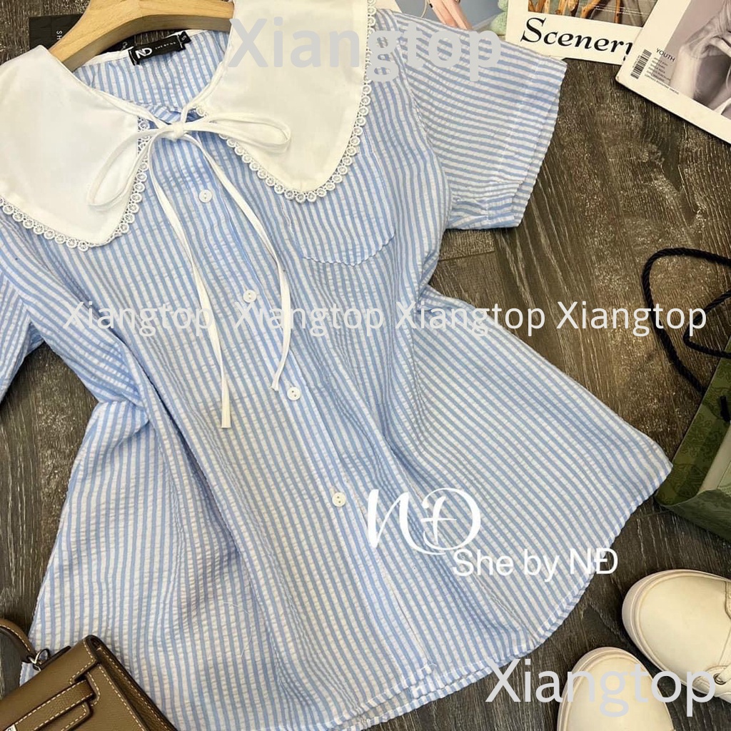 Áo sơ mi kẻ cổ bèo tiểu thư 2 màu ngắn tay kaca aosomicongsothietke