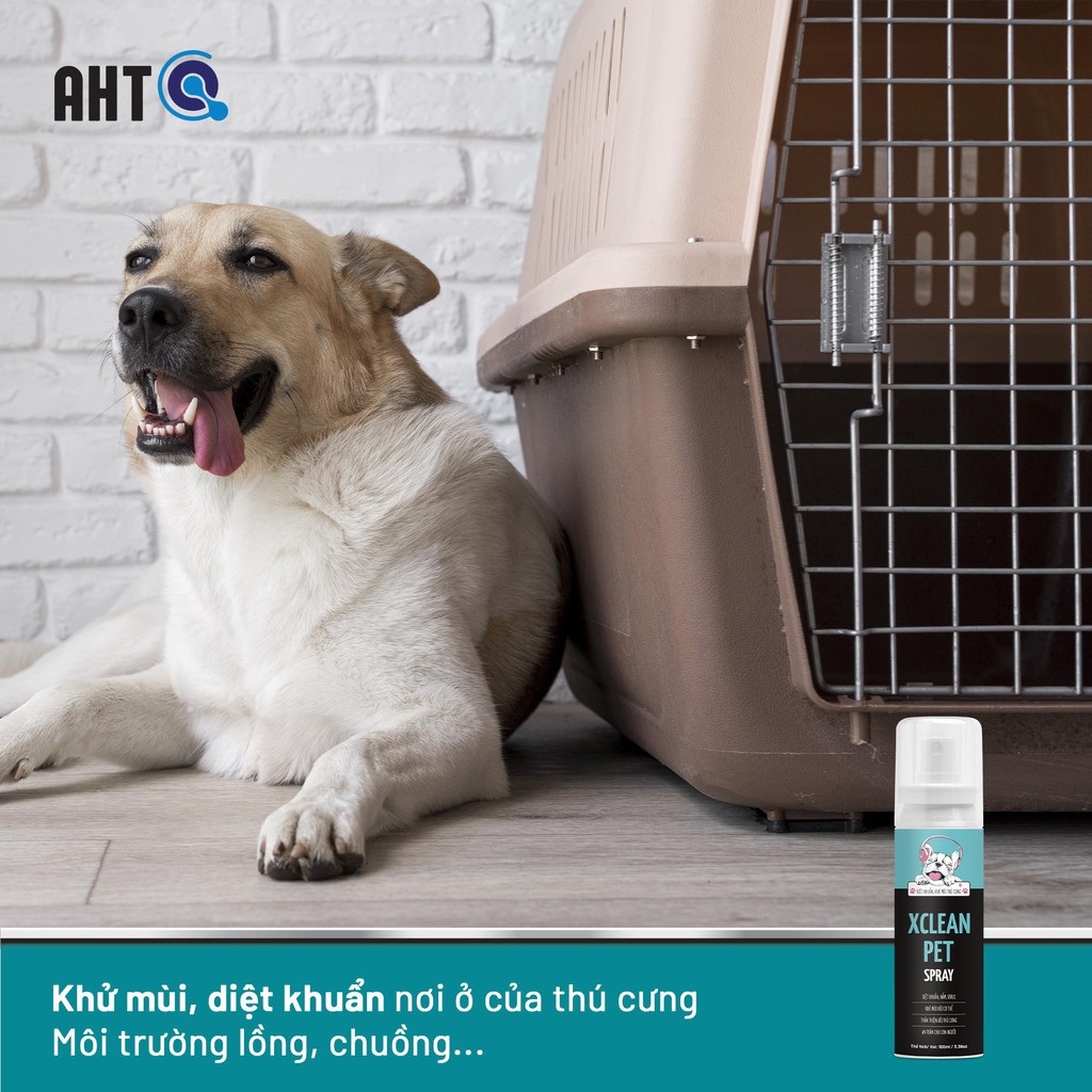 Chai Xịt Diệt Khuẩn Khử Mùi Thú Cưng Chó Mèo Nano Bạc Xclean Pet 100ml AHT Corp