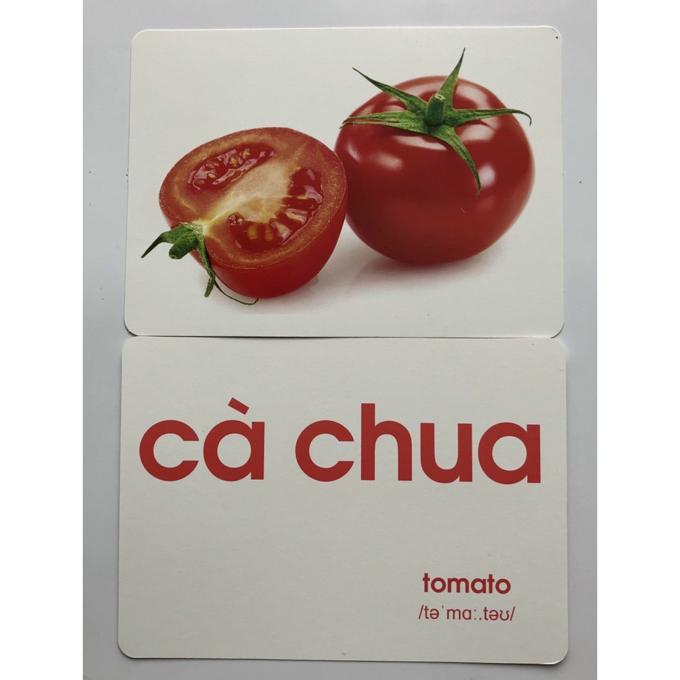 Thẻ học A5 ép Plastic,Ko THẤM NƯỚC, siêu BỀN ĐẸP, dạy bé nhận biết TGXQ