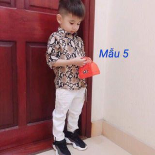 Áo Sơ mi lụa bé trai và gái