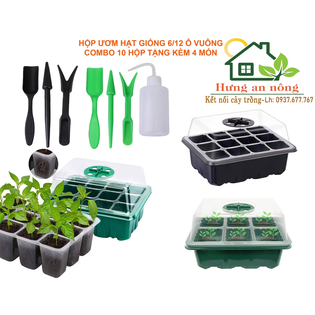 Sét 10 Hộp ươm hạt giống màu xanh và đen 6/12 ô vuông có nắp đậy điều chỉnh nhiệt độ ẩm - tặng kèm 4 món dụng ươm di cây