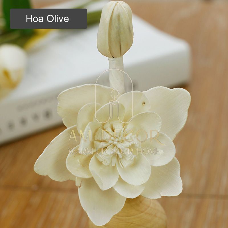 Lọ tinh dầu hoa lavender, olive, hương rừng gỗ decor trang trí phòng ngủ sang trọng - AM Decor