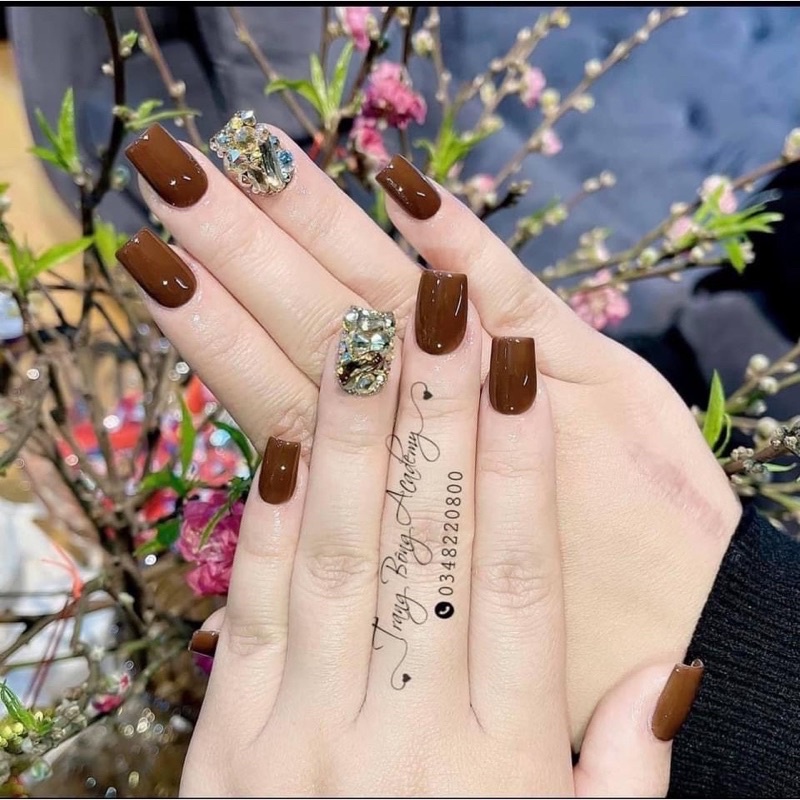 Sét sơn gel tone nâu 9 màu kèm bảng