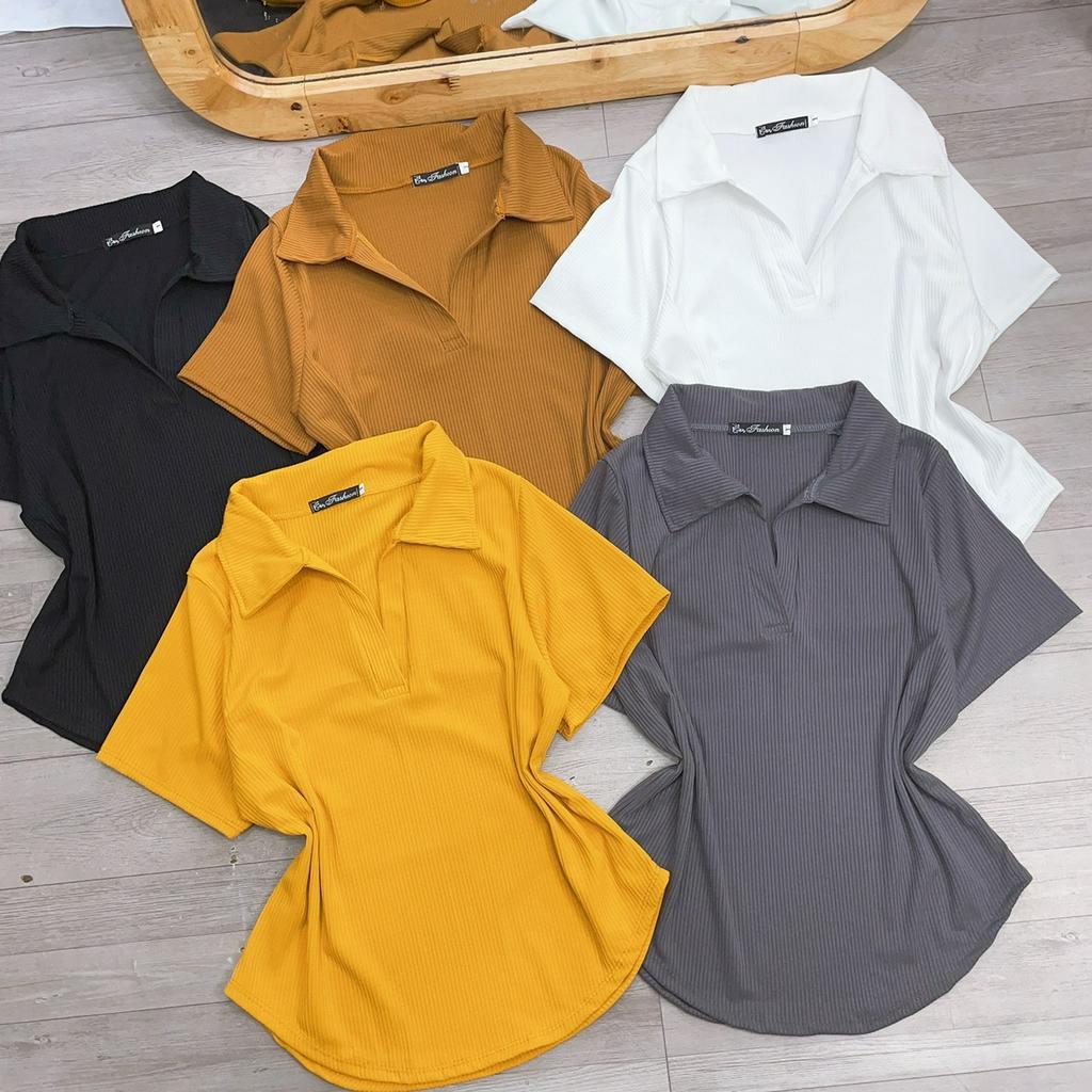 Áo Polo BigSize Nữ(58kg-95kg),Áo Thun Kiểu Cổ Trụ Vạc Bầu Vải Gân Tăm Mặc Đi Học Đi Làm Đi Chơi Đều Đẹp Mã G120