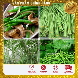 Bộ gói hạt giống đậu đũa xanh