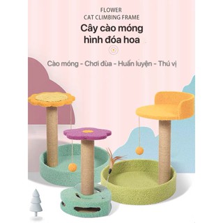 Cattree - Ổ cho mèo - Thảm cào móng nhiều màu sắc cho mèo