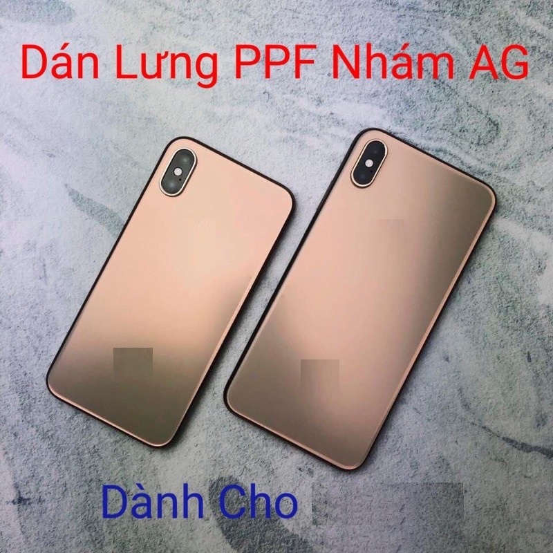 Miếng Dán Lưng PPF Nhám Trong AG Chống Vân Tay iPhone 15, 14, 13, 12 Pro Max, 12 Mini, 11, X, Xs, Xr, 7, 8 Plus