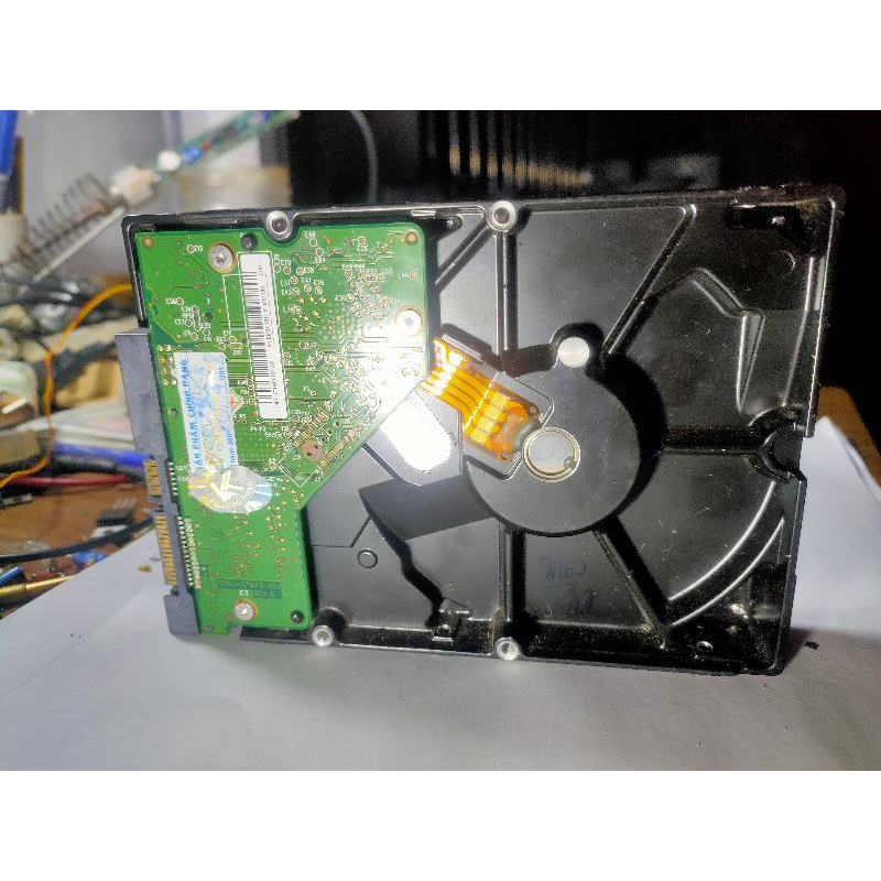 Ổ Cứng HDD 250GB WD blue | BigBuy360 - bigbuy360.vn