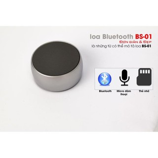 Loa di động Bluetooth BS-01