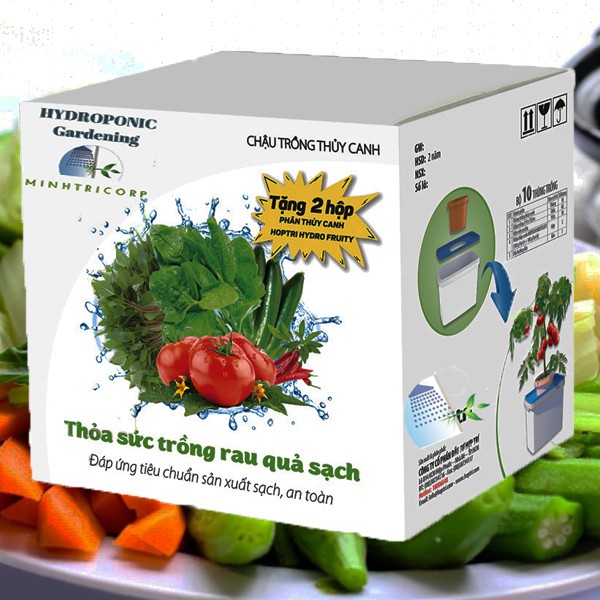 BỘ 10 THÙNG THỦY CANH TĨNH CÂY ĂN QUẢ TẶNG BÚT TDS-3