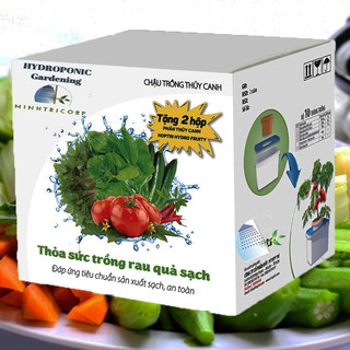 Bộ 10 thùng thủy canh tĩnh cây ăn quả tặng bút tds-3