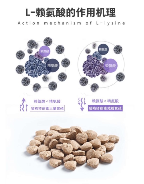 Vitamin cho mèo Nourse 15 Viên Lysine hỗ trợ hô hấp tăng đề kháng cho mèo Surica VN15 (200v)