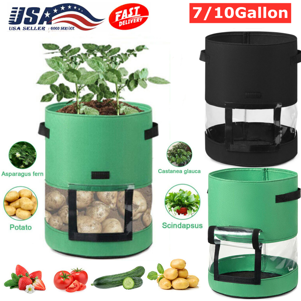 Túi Trồng Khoai Tây Tiện Lợi
