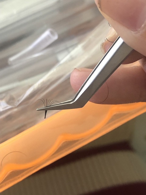 Cặp Nhíp classic,tách cá heo