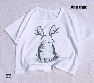 Áo croptop thỏ yêu (C)