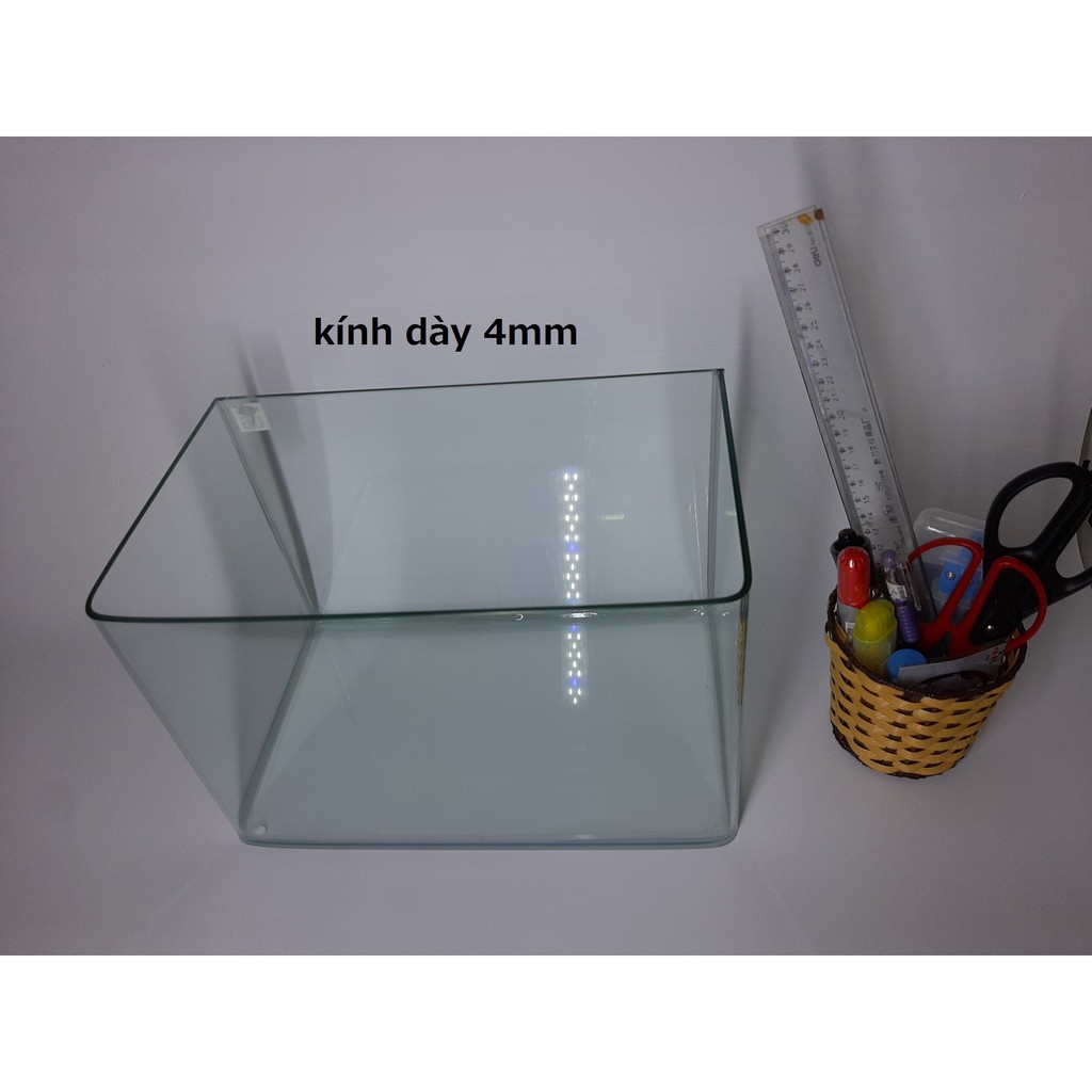 Bể cá mini kính đúc 30x18x20 cm, hồ cá cảnh thủy sinh để bàn