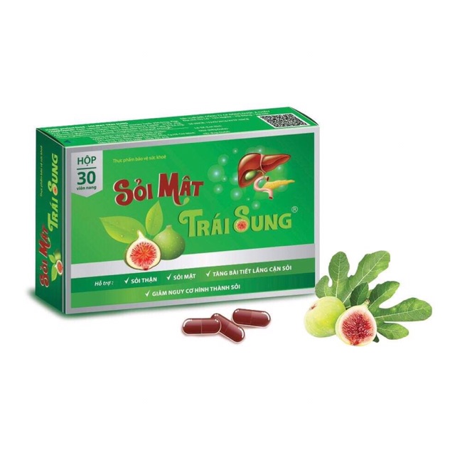 SỎI MẬT TRÁI SUNG – HỖ TRỢ LỢI TIỂU – TĂNG BÀI TIẾT LẮNG CẶN SỎI ....