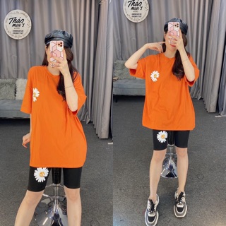 Bộ lửng hoa cúc siêu êu