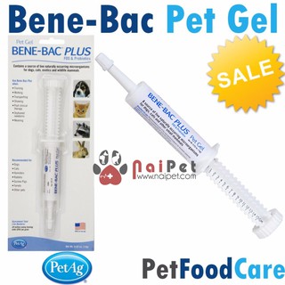 men tiêu hóa dạng gel pet gel bene-bac plus tuýp 15g