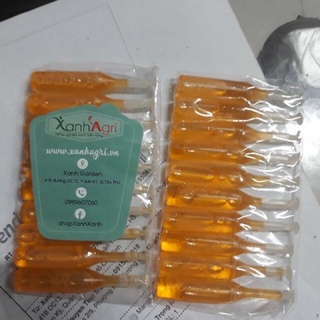 1 TUÝP THUỐC BẪY RUỒI VÀNG