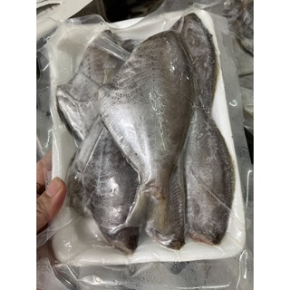 Cá Đội Đèn 1 Nắng