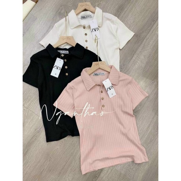 Áo phông polo za.ra 3 màu | BigBuy360 - bigbuy360.vn