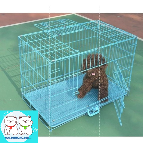 CTVD SD60 - Chuồng chó mèo sơn tĩnh điện chó lớn phù hợp chó và mèo từ 0-8kg (được chọn màu) bảo hành 6 tháng