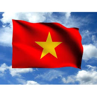 cờ tổ quốc 80x100cm + 90x150cm