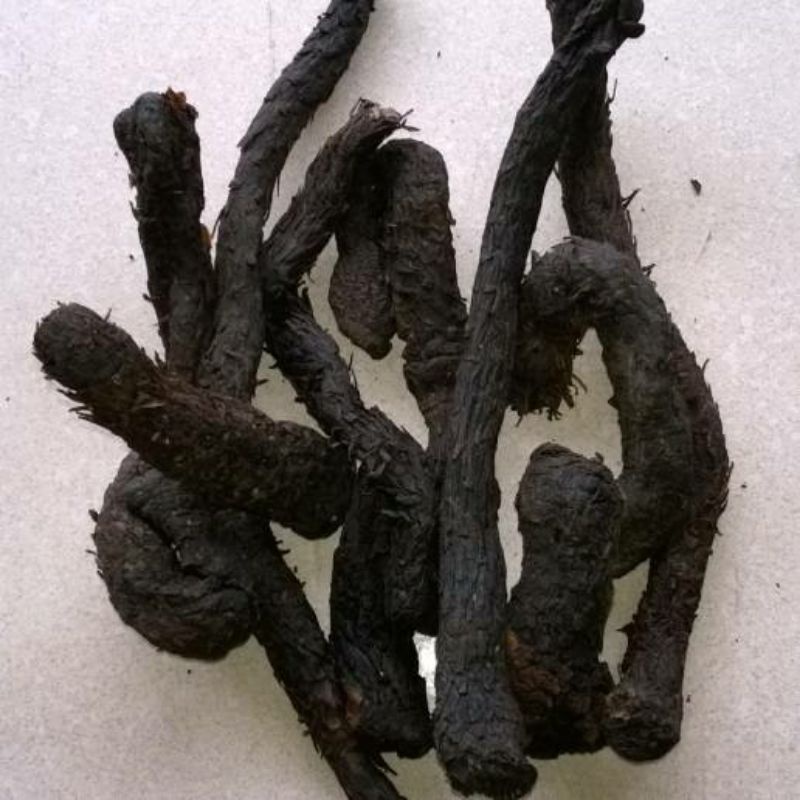 Nhục Thung Dung nguyên chất loại 1