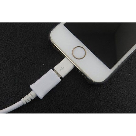 Đầu Chuyển Cổng Micro USB sang Lightning - Dùng cho iPhone