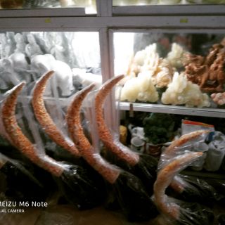 [Phong thủy]Cặp tỳ hưu ngậm ngà trấn trạch