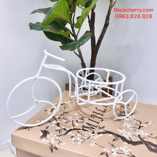 Giá Đỡ Bể Cá Mini Xe Đạp