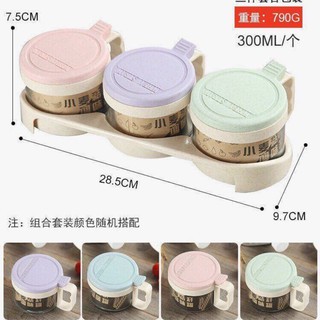Bộ 3 hũ đựng gia vị thuỷ tinh lúa mạch 3 chi tiết Hàng đẹp
