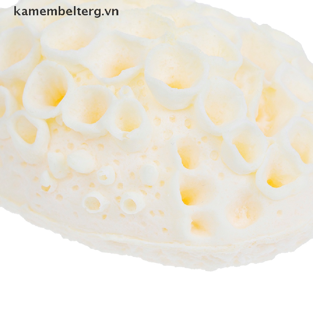 Kk Miếng Bọt Biển Tự Nhiên Tẩy Tế Bào Chết Cho Da Tiện Dụng